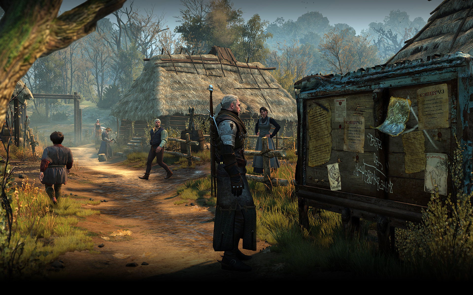 Witcher 3 15