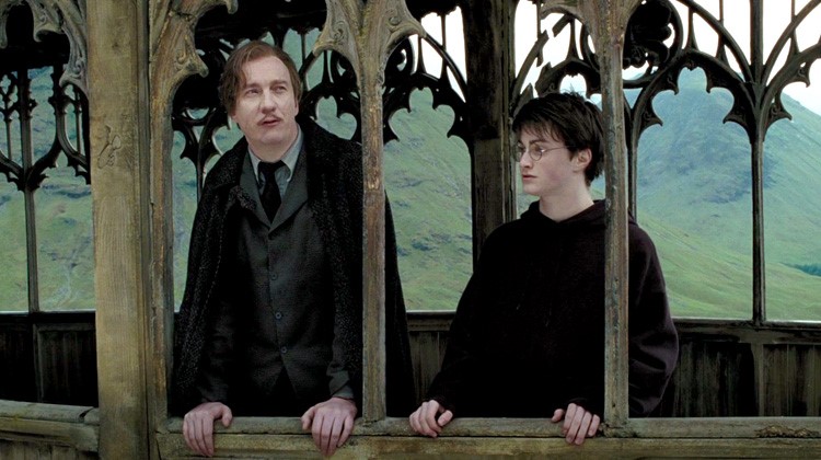 remuslupin-wannart