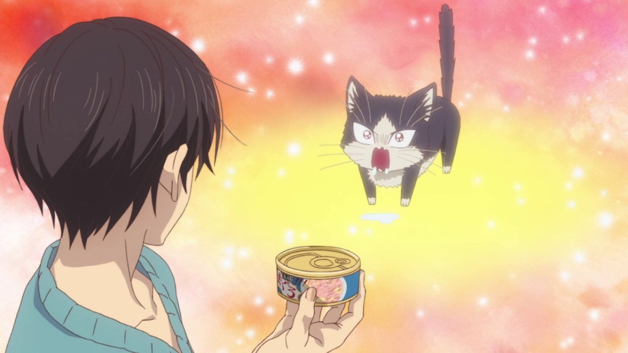 Cat Got Your Tongue  This Week in Anime  Anime News Network