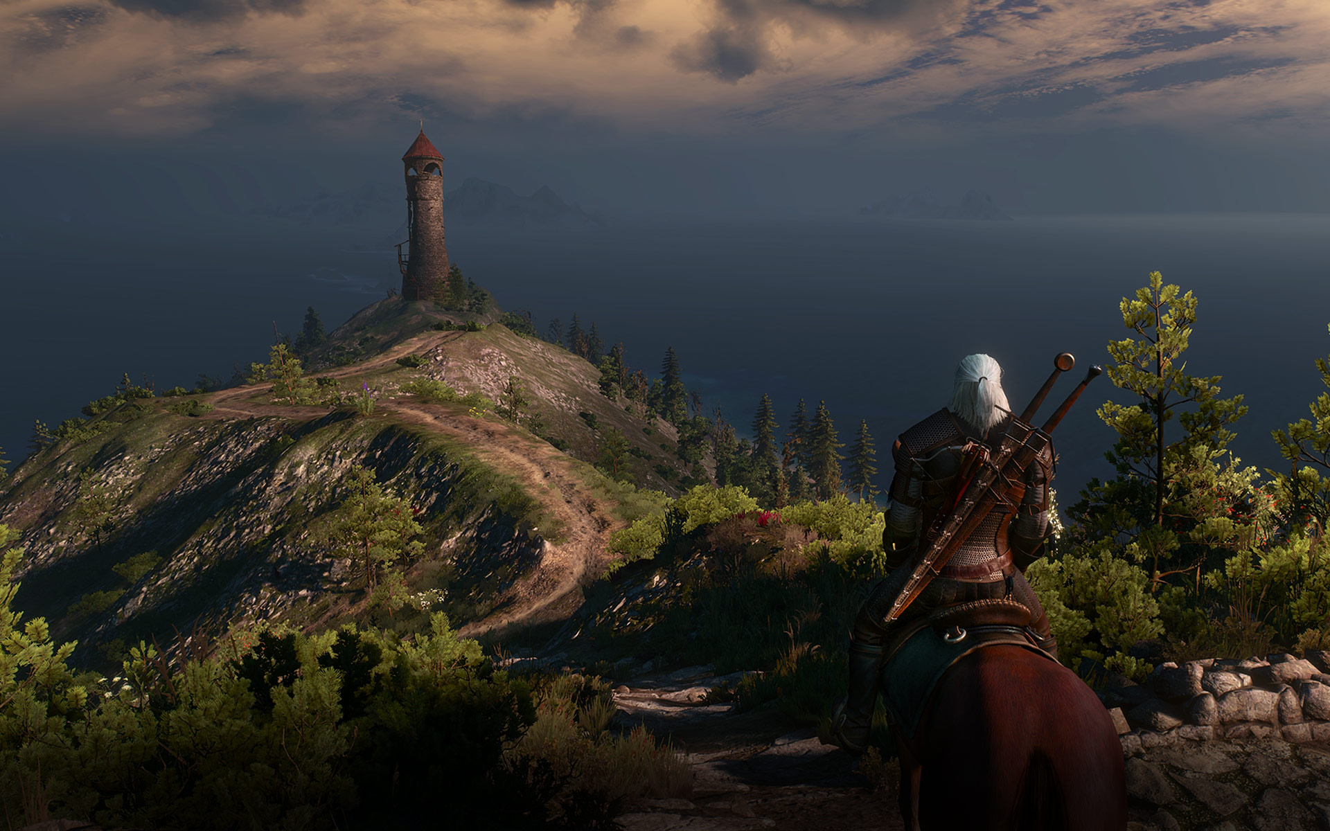 Witcher 3 12