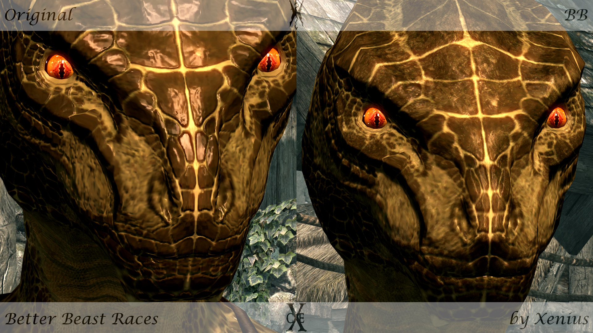 argonian mod Skyrim face