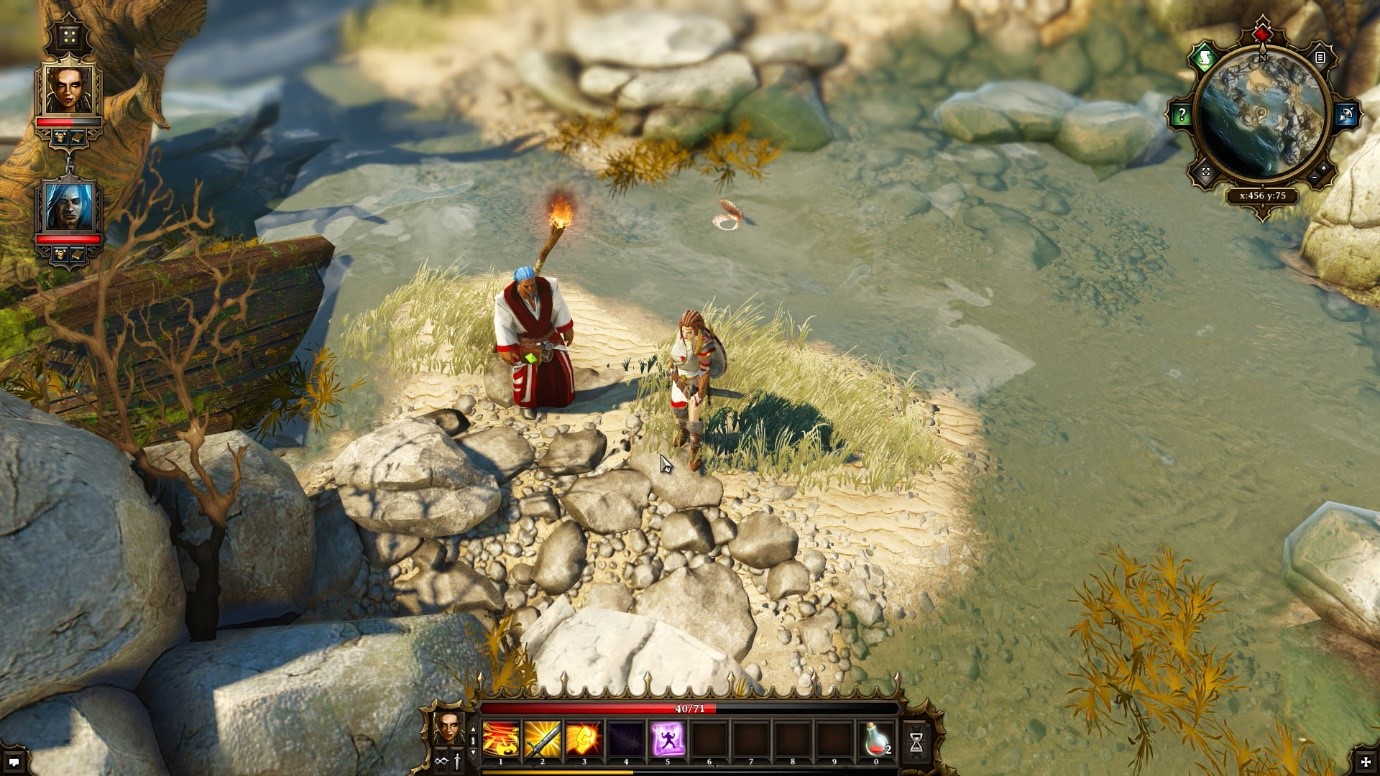 Divinity Original Sin RPG isometric games like Baldur's Gate