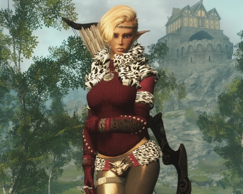 Skyrim Unp Female Armors