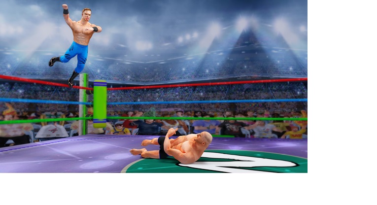 moves in wrestling simulator moves in wrestling simulator