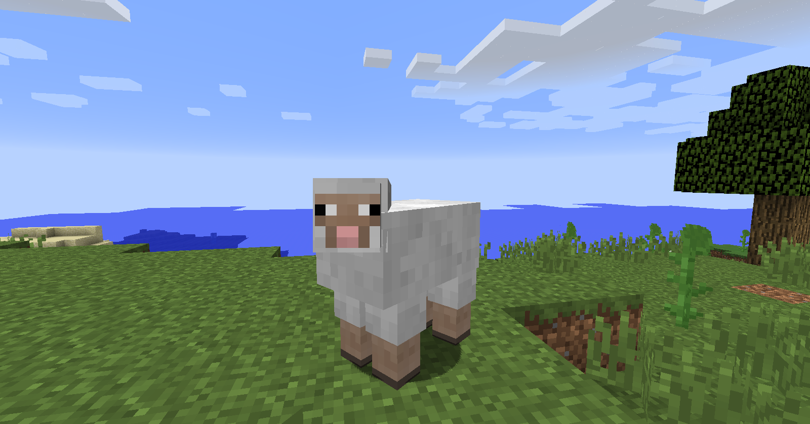 Minecraft Naked Mod