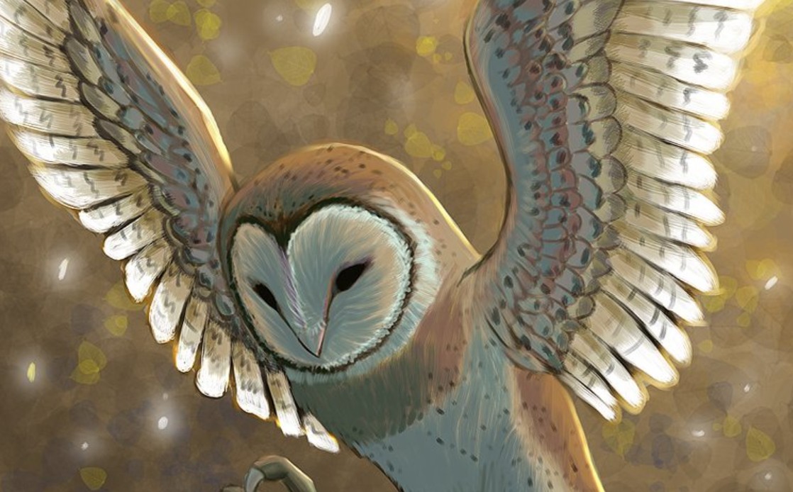 Top 10 D&D Druid Best Wild Shapes Gamers Decide