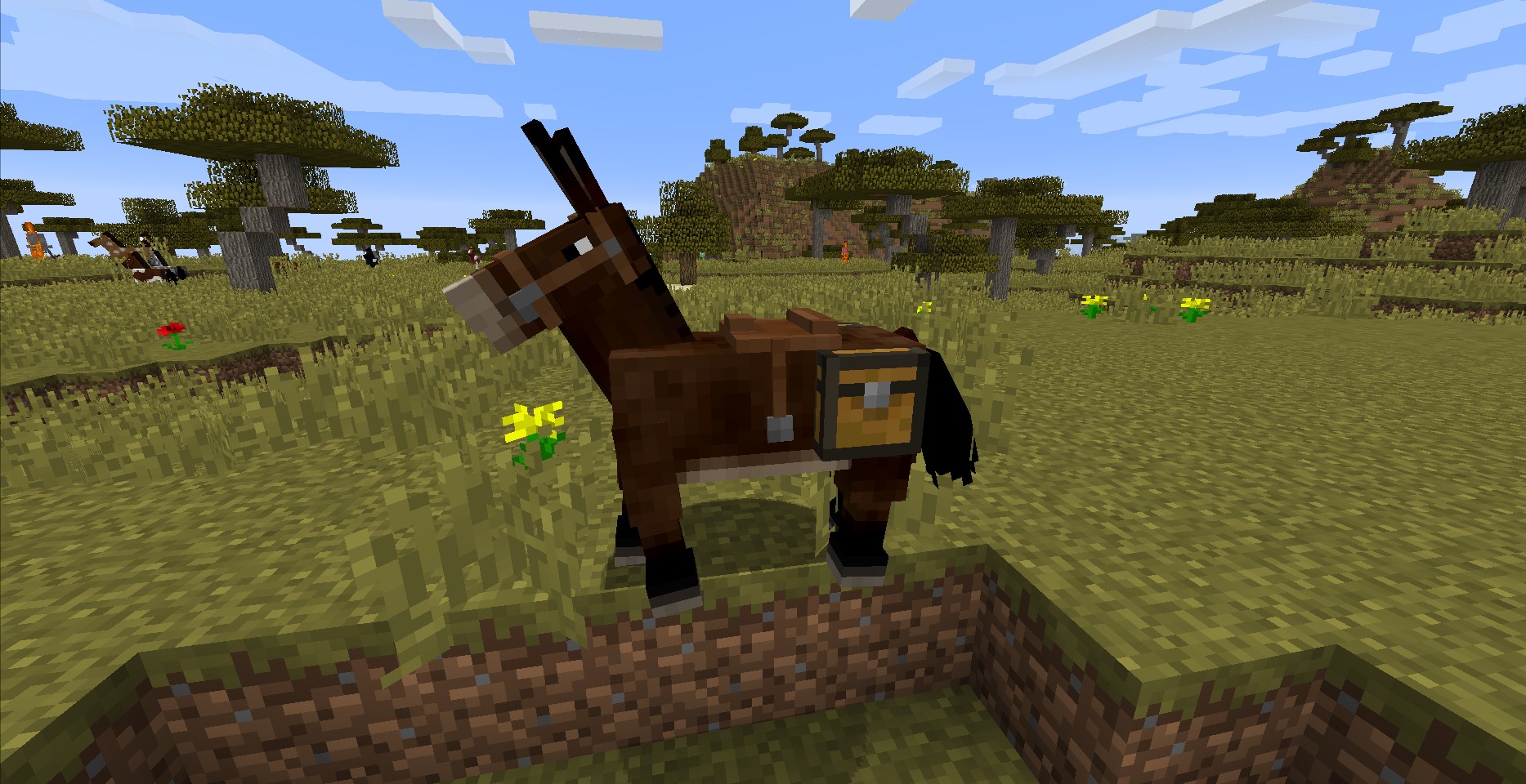 How To Breed A Horse In Minecraft With A Mule