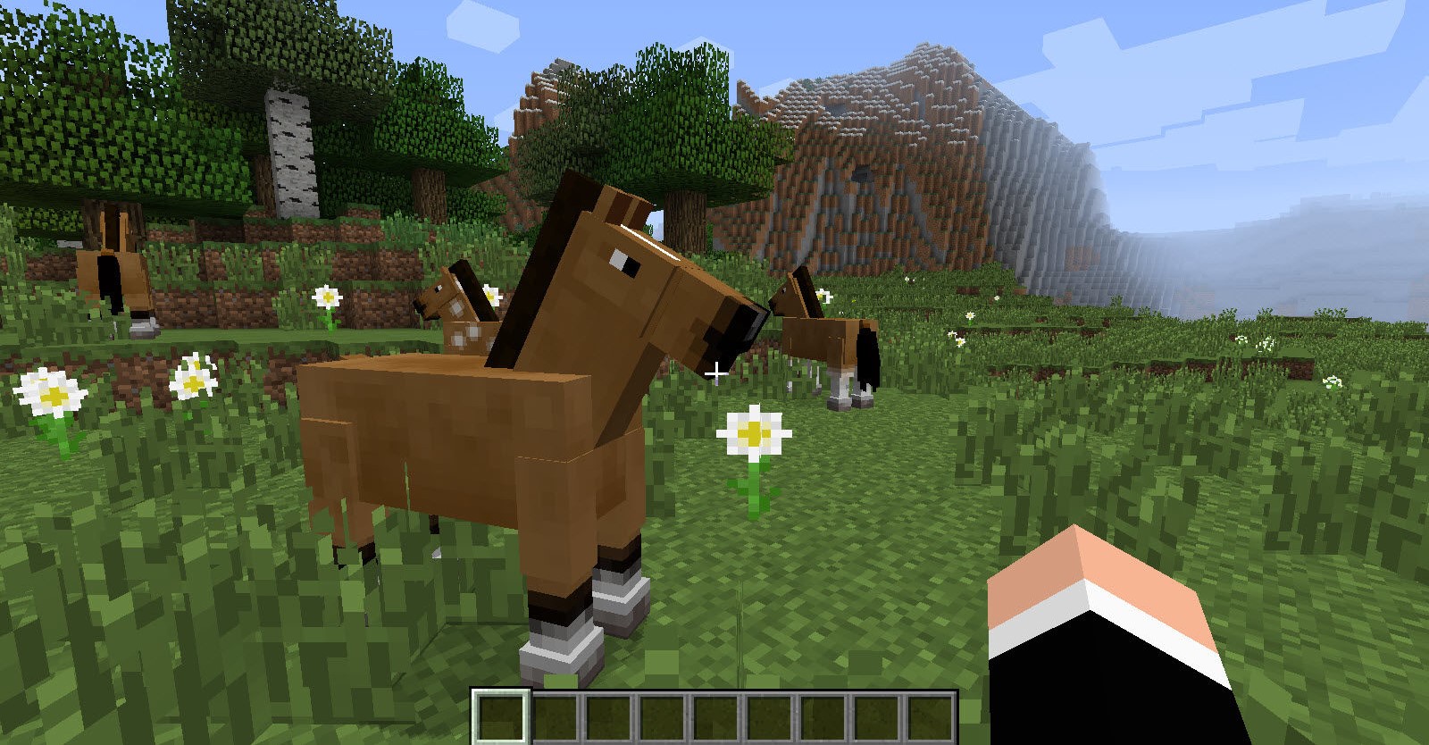 Top 10 Minecraft Best Horse Gamers Decide