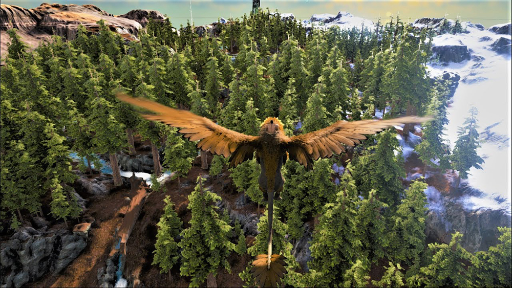 Top 5 Best Ark Survival Evolved Flying Mounts GAMERS DECIDE