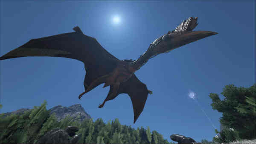 Top 5 Best Ark Survival Evolved Flying Mounts GAMERS DECIDE