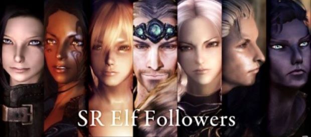 skyrim se follower mod