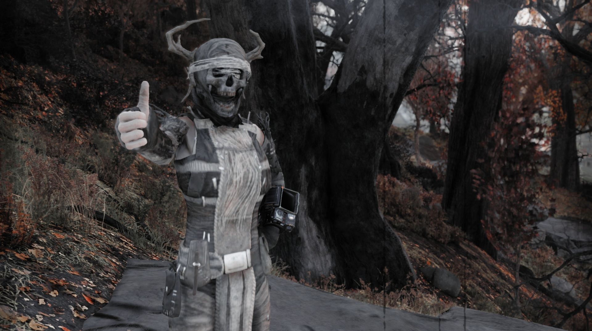 Funny Fallout 76 Builds Lopezshore