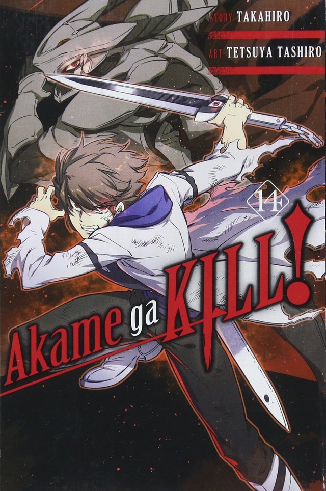 Akame ga Kill image