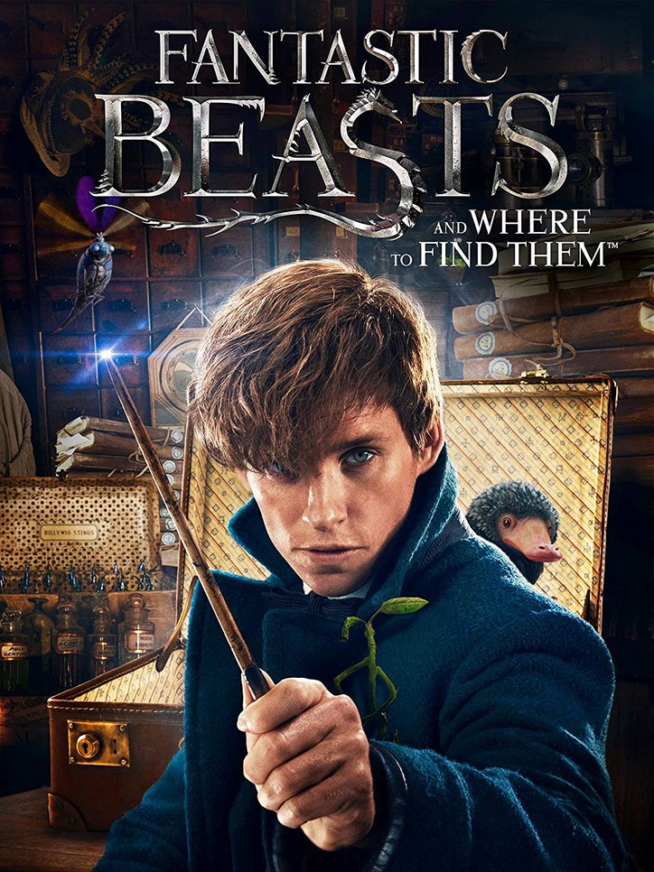 Fantastic Beasts and Where to Find Them image