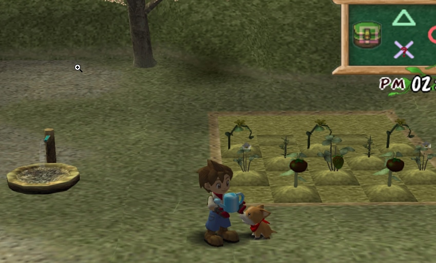 harvest moon a new beginning pet weight harvest moon a new beginning pet weight
