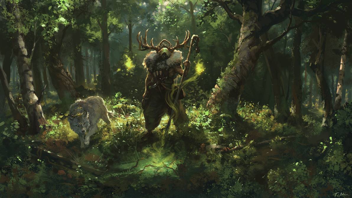 Top 15 D&D Best Druid Art Gamers Decide