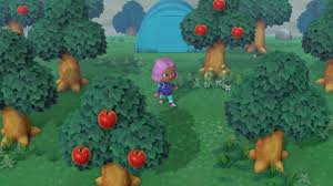 Cherry trees shown in Animal Crossing: New Horizons. 