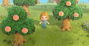 A villager standing with peach trees.