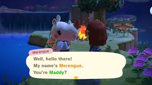 Merengue introducing herself. 
