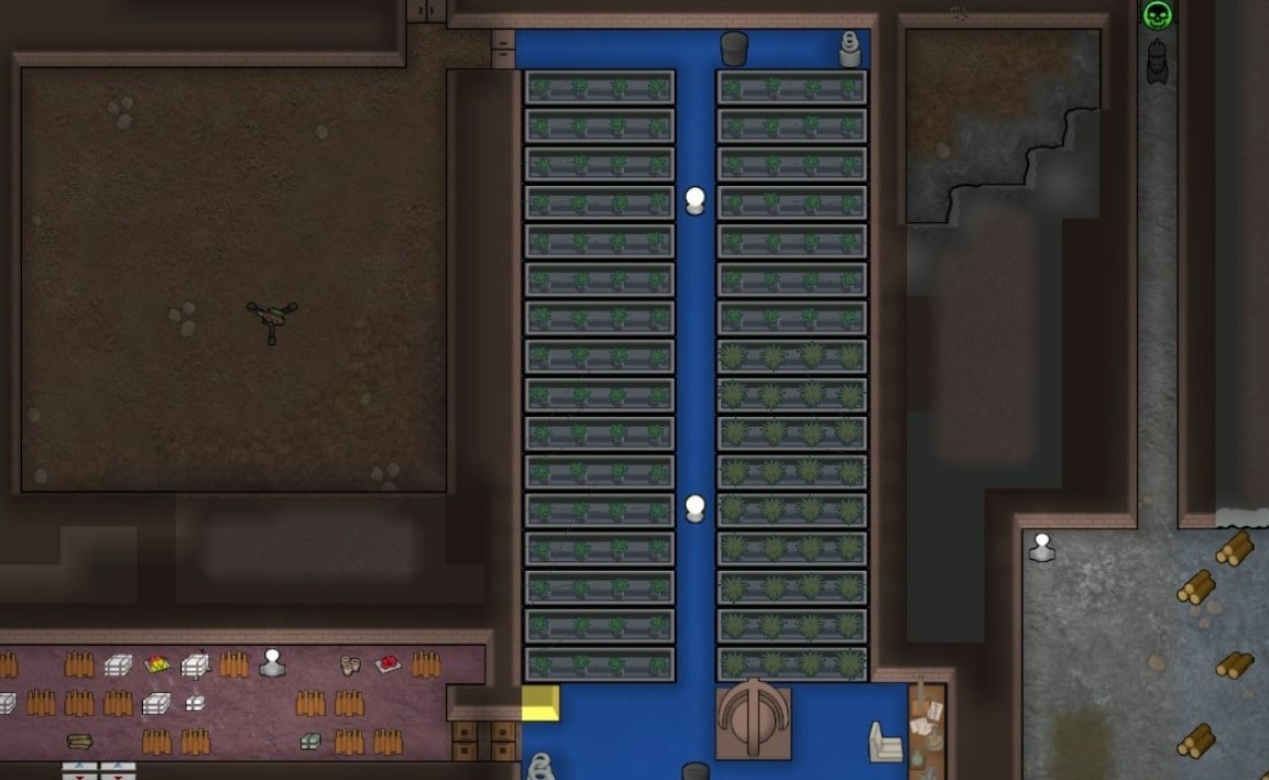 Top 5 Rimworld Best Crops Gamers Decide