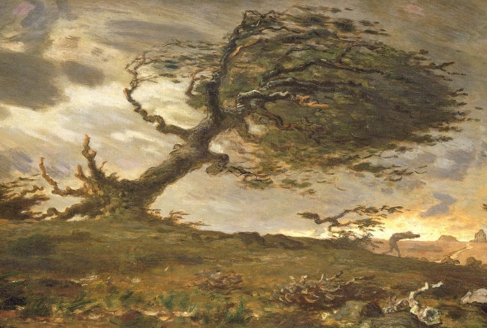 A tree being blown in a strong wind.