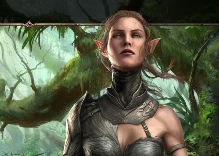 Divinity Original Sin 2 Best Characters Who To Pick Gamers Decide Divinity Original Sin 2 Best Characters Who To Pick Gamers Decide