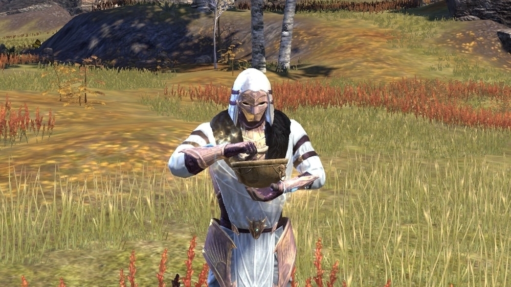 [Top 10] ESO Best Potions and How to Get Them GAMERS DECIDE