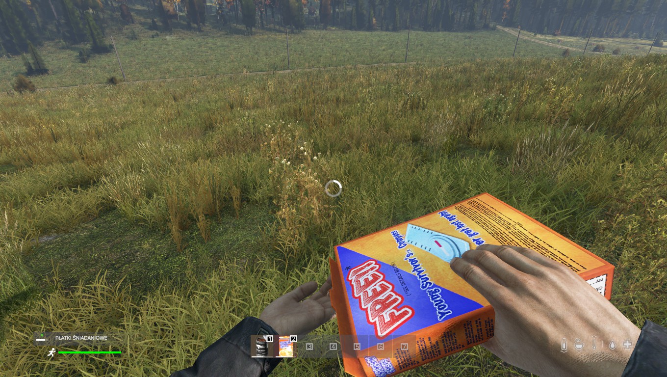 Top 10 DayZ Best Food Gamers Decide top-10-dayz-best-food-gamers-decide