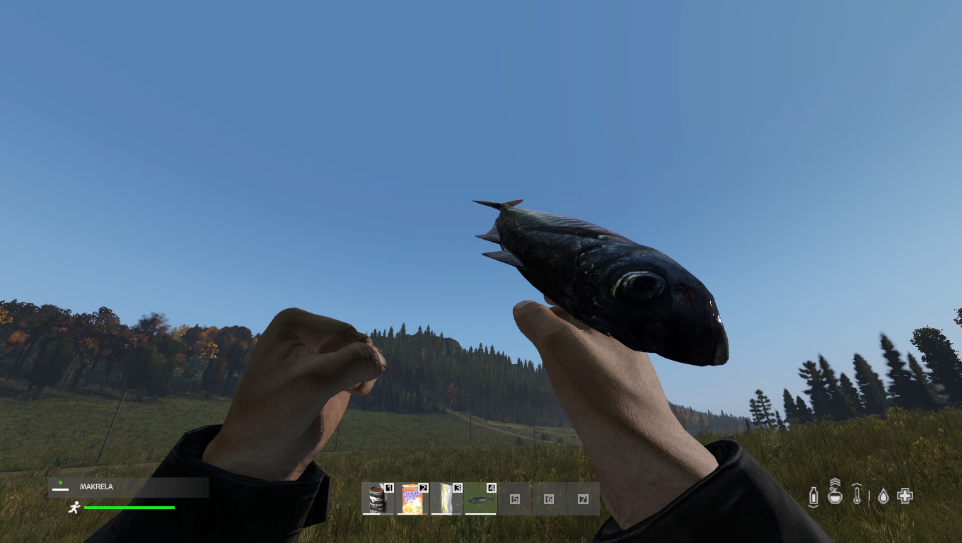 Top 10 DayZ Best Food Gamers Decide top-10-dayz-best-food-gamers-decide