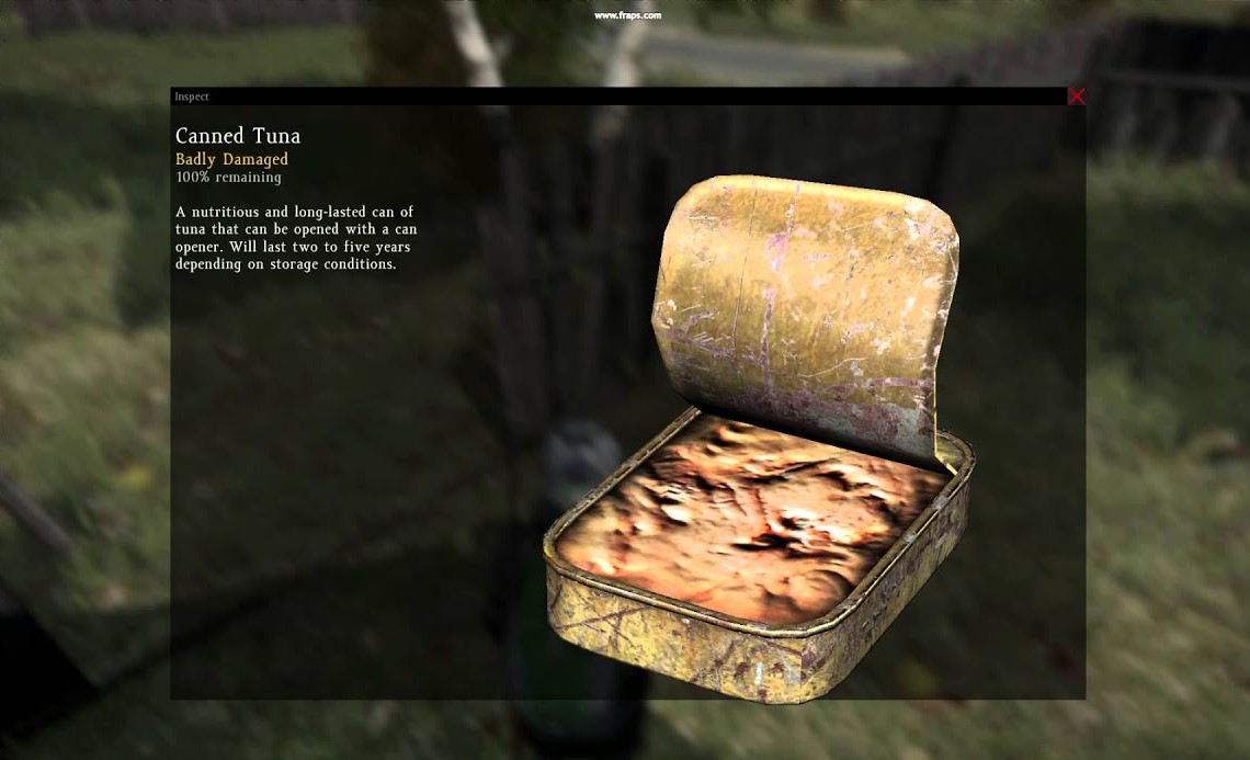 Top 10 DayZ Best Food GAMERS DECIDE top-10-dayz-best-food-gamers-decide