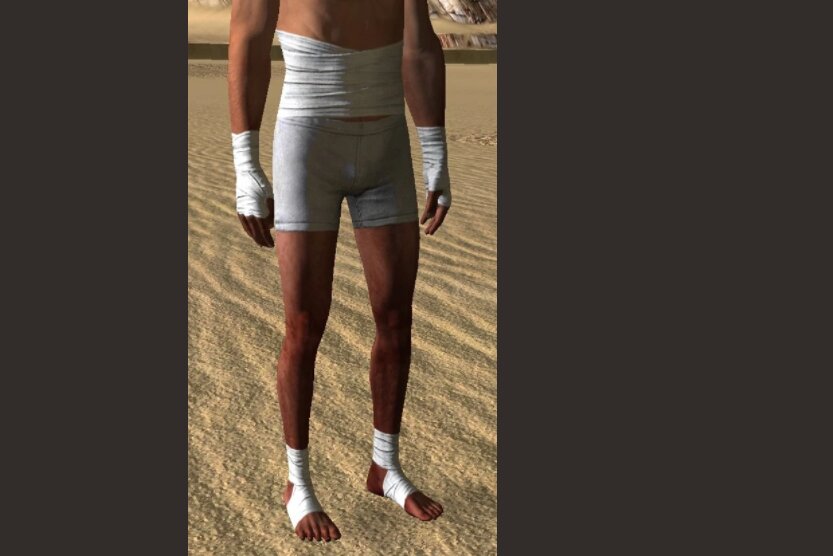 [Top 5] Kenshi Best Shirts That Are Excellent Gamers Decide