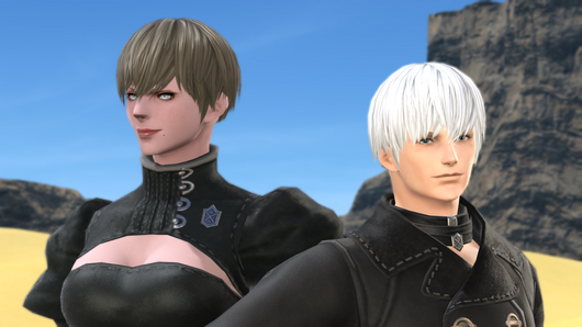 FFXIV Unlockable Hairstyle Guide List  GameSkinny