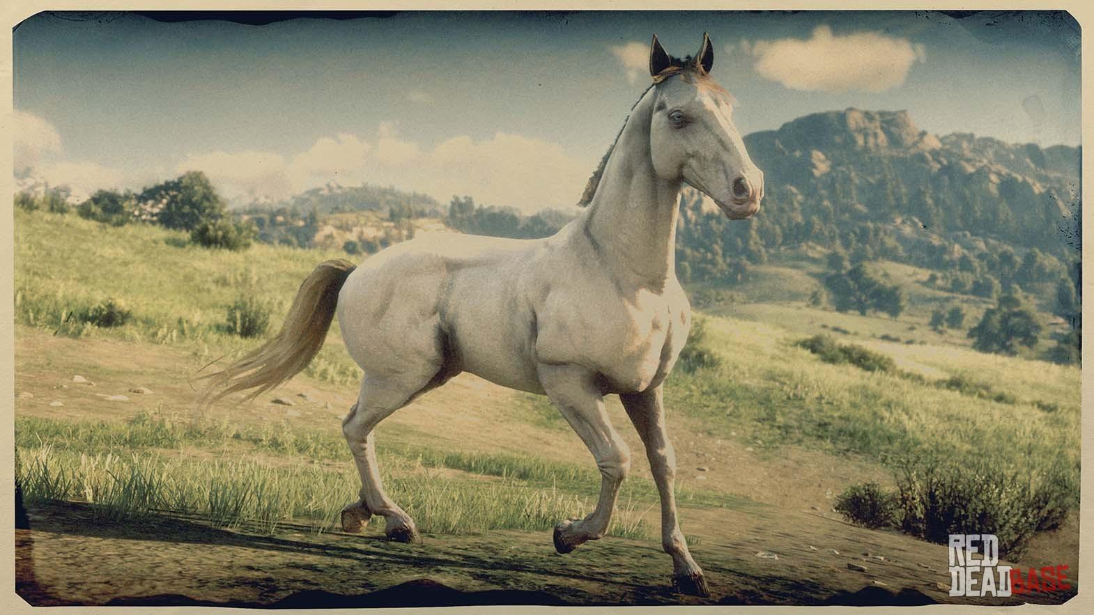 Red Dead Redemption 2 Horse List (Ranked, Worst To Best) Gamers Decide