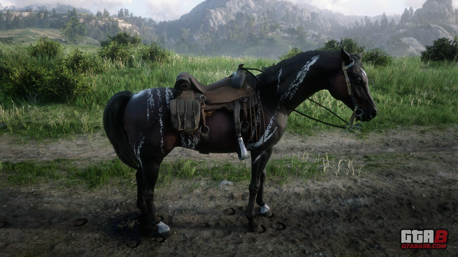 Red Dead Redemption 2 Horse List (Ranked, Worst To Best) Gamers Decide