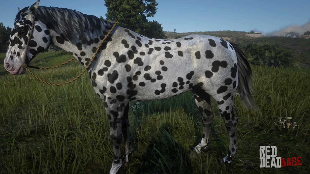 Red Dead Redemption 2 Horse List (Ranked, Worst To Best) GAMERS DECIDE