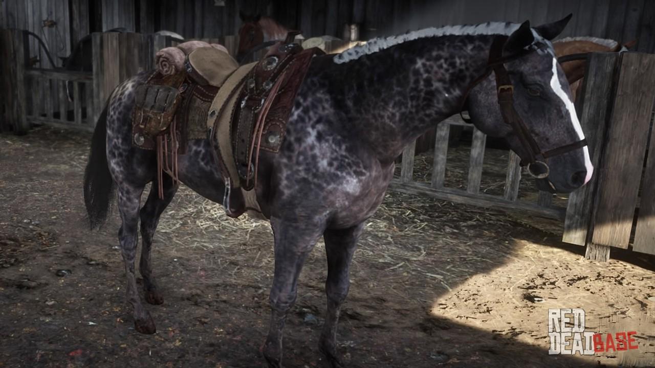 Red Dead Redemption 2 Horse List (Ranked, Worst To Best) GAMERS DECIDE