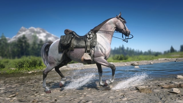 [Top 10] Red Dead Redemption 2 Most Expensive Items | GAMERS DECIDE