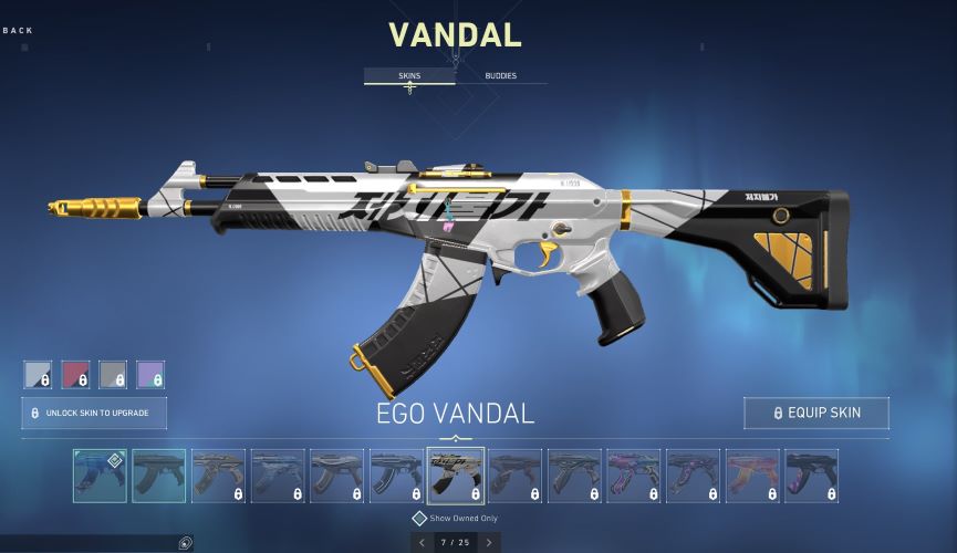  Top 5 Valorant Best Vandal Skins And How To Get Them Gamers Decide