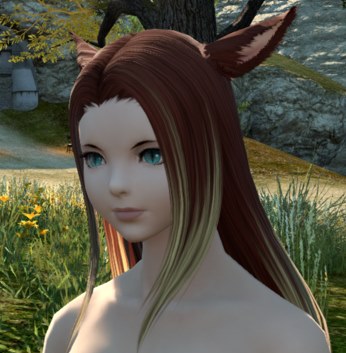 71+ Awesome Ff14 Modern Aesthetics Gyr Abanian Plait Pictures