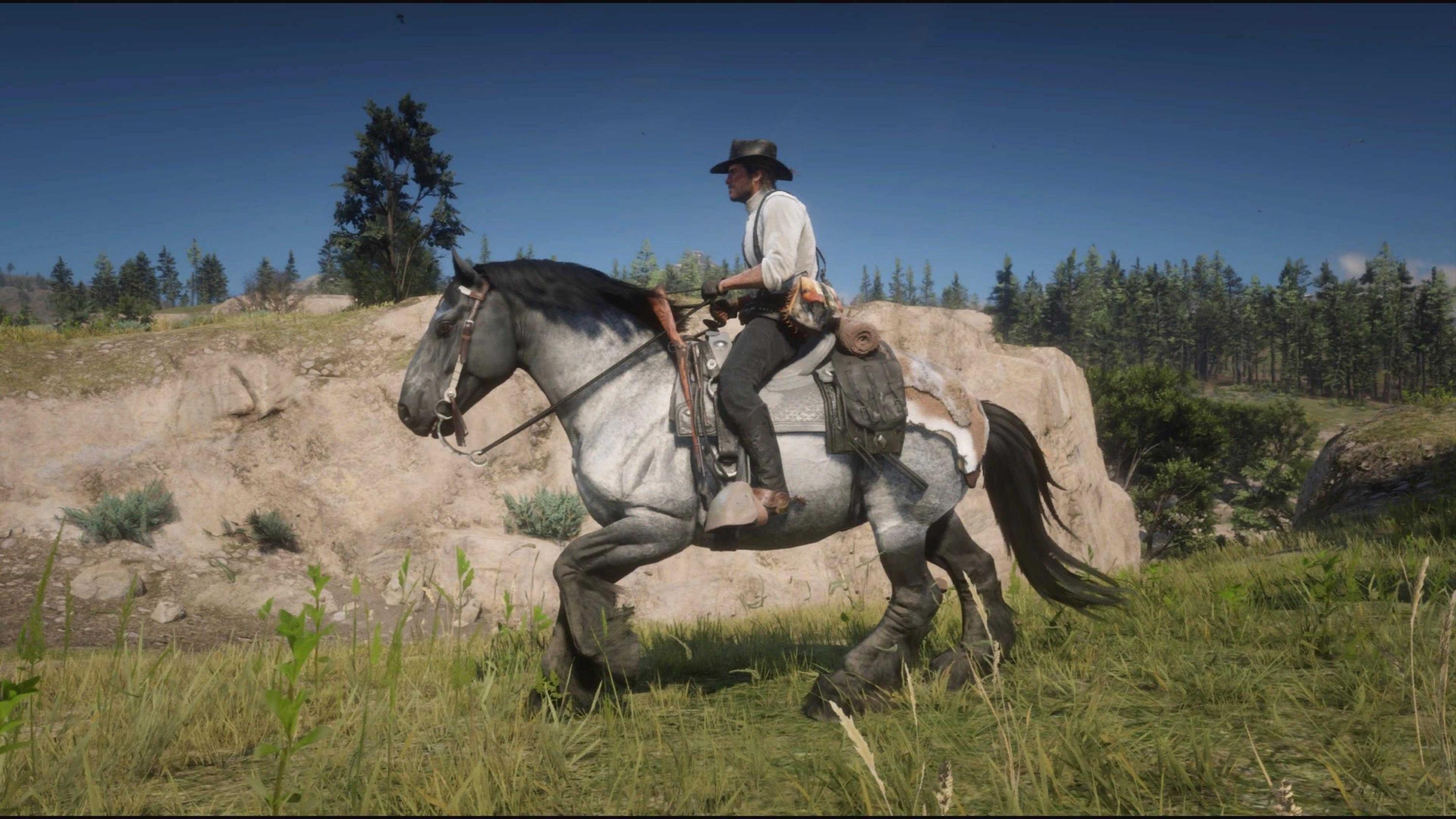 [Top 5] RDO Best Looking Horses In The Game (And How To Get Them