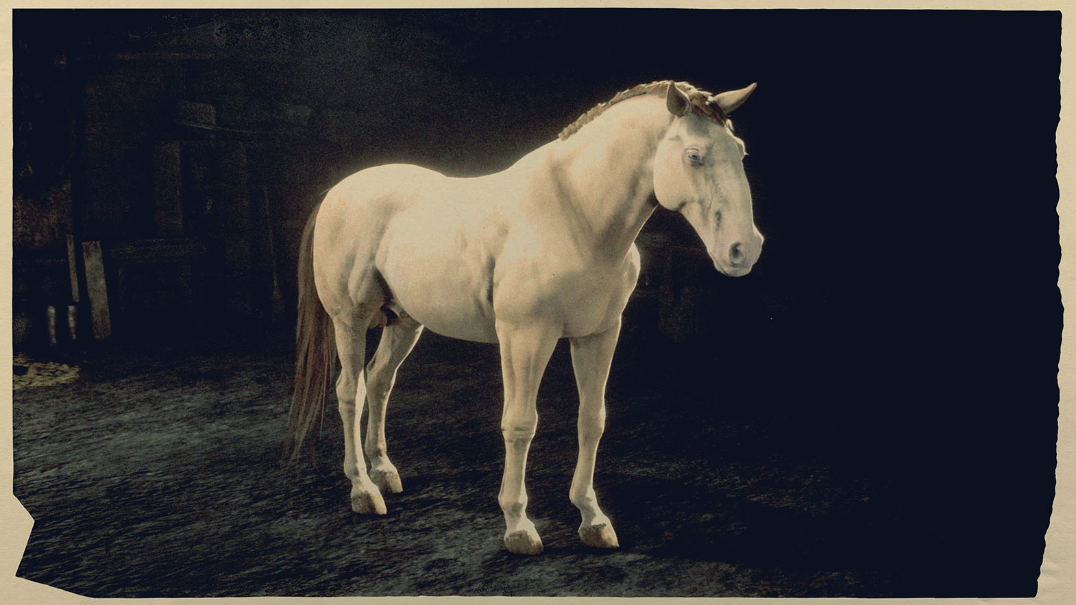 [Top 5] RDO Best Horses For Hunting (And How To Get Them) GAMERS DECIDE