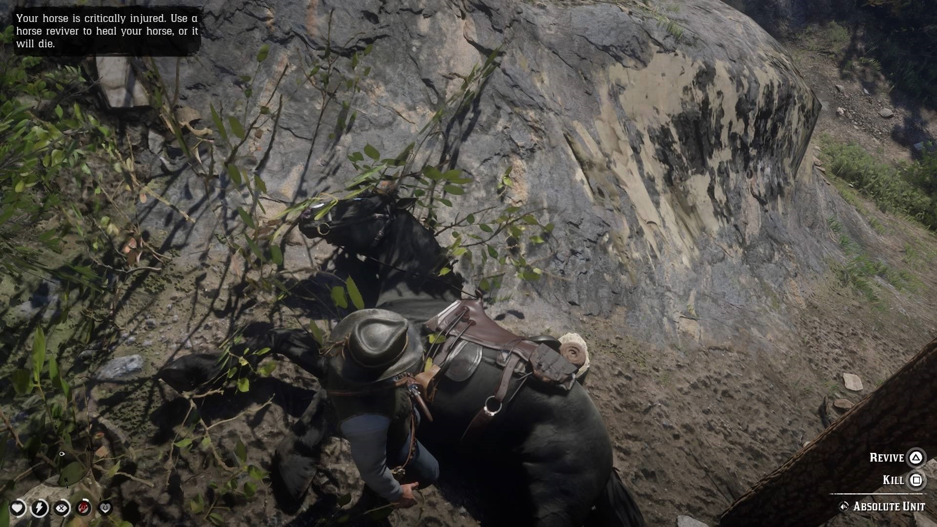 [Top 10] RDO Best Pamphlets To Own Gamers Decide