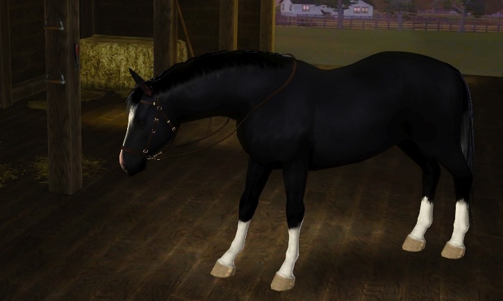 the sims 3 horses