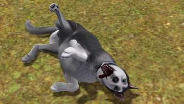 the sims 3 pets