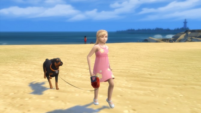 the sims 4 dog walking