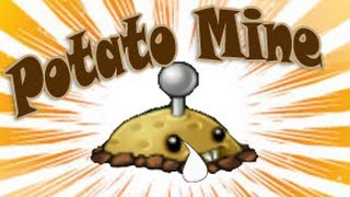 The Potato Mine