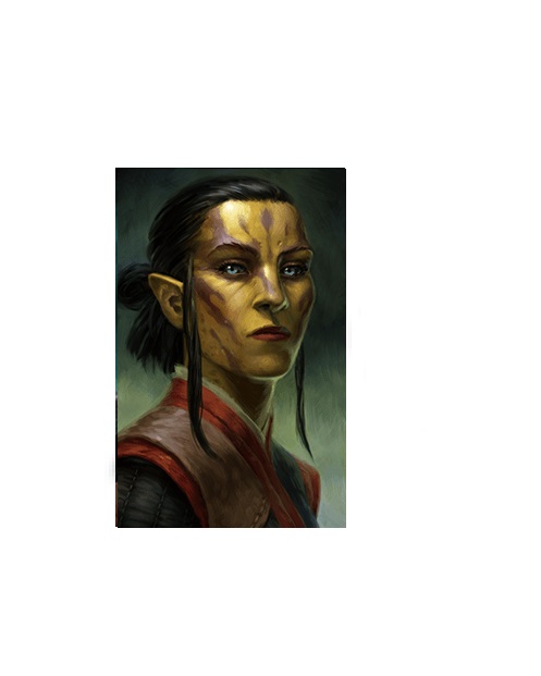 pillars of eternity best companions for story pillars of eternity best companions for story