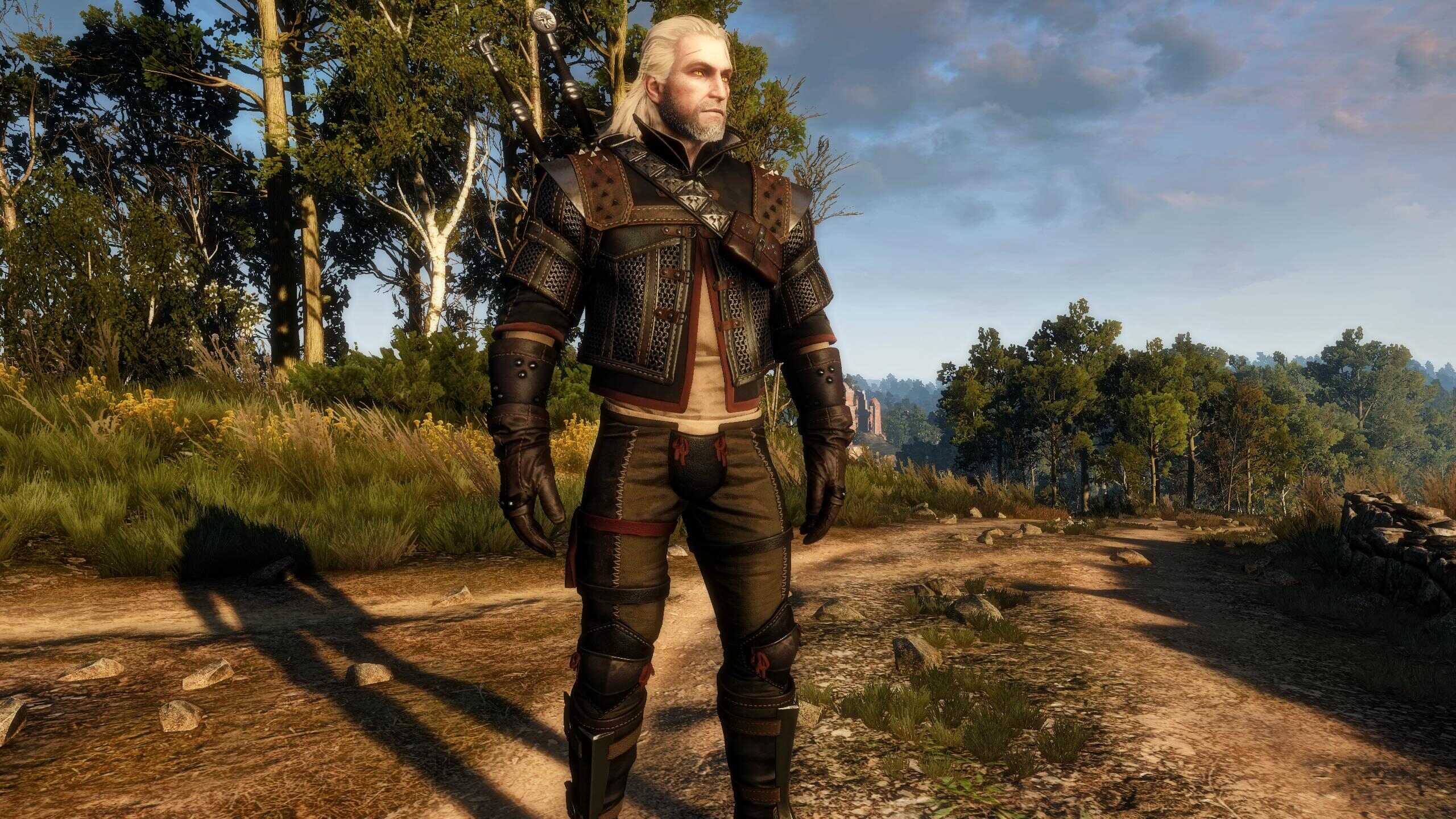 [Top 15] The Witcher 3 Best Mods For Armor Gamers Decide