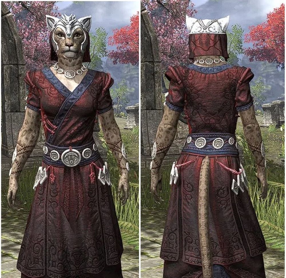 [Top 10] ESO Best Armor Sets for Warden That Are Great Gamers Decide