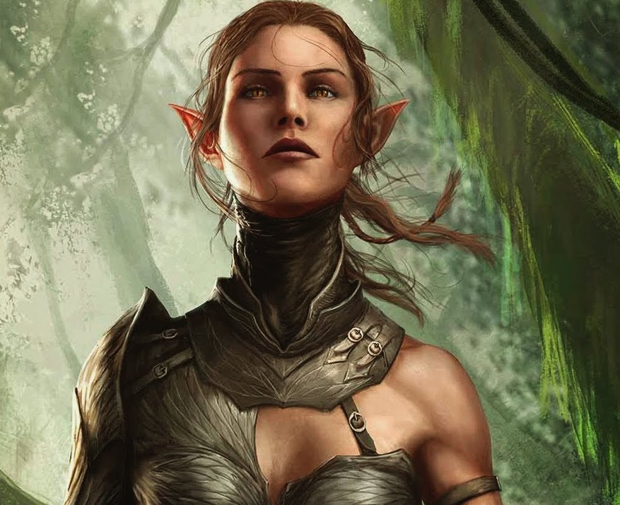 Divinity Original Sin 2 Best Companions Who To Choose Gamers Decide